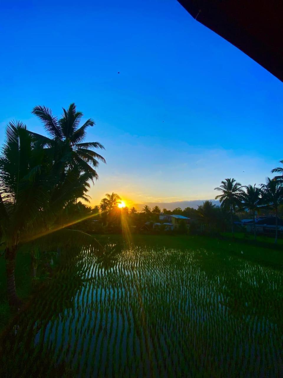 Arista Homestay Tetebatu Exterior foto